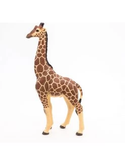 Papo Wild Life Giraffenmännchen 50149
