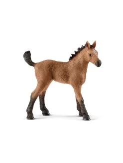 Schleich Horse Club Quarter Pferdefohlen 13854