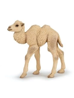 Papo Wild Life Kamelkalb 50221