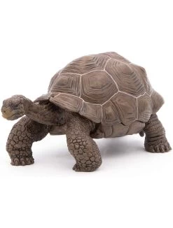 Papo Wild Life Galapogos Reuzeschilpad 50161