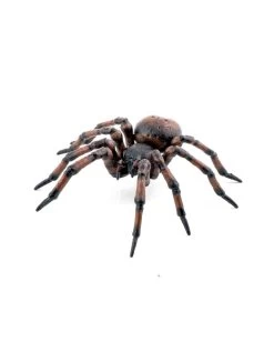 Papo Wild Life Gemeine Spinne 50292