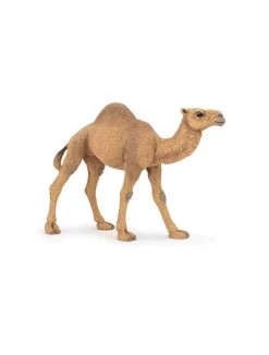 Papo Wild Life Dromedar 50151