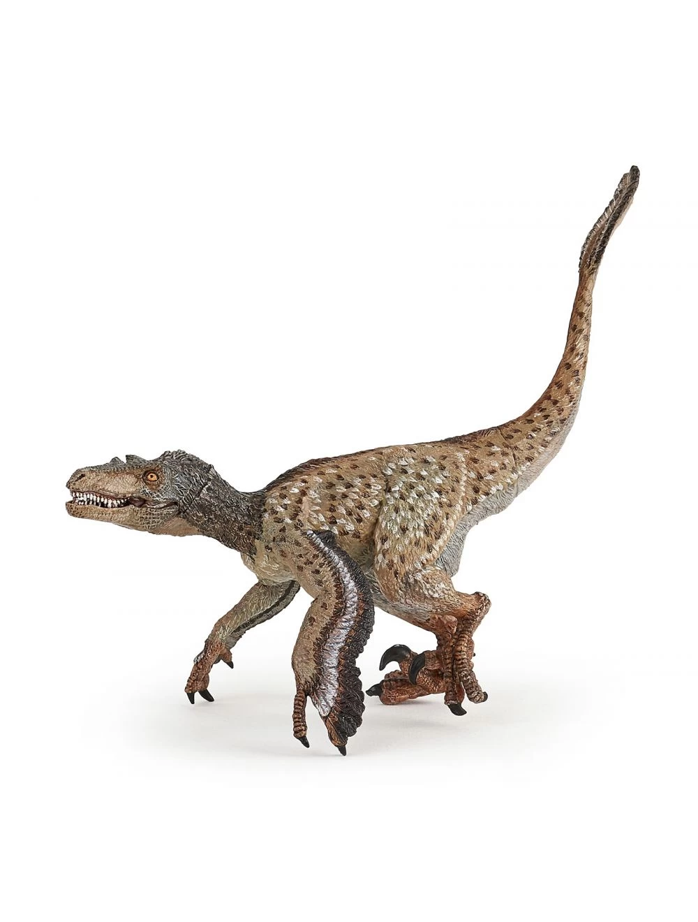 Papo Dinosaurs Velociraptor Met Veren 55086 1 Papo Dinosaurs Velociraptor Met Veren 55086