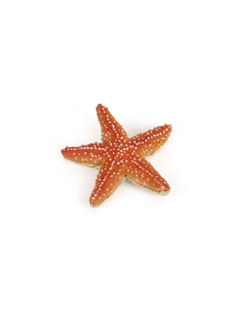 Papo Seestern 56050 1 Papo Seestern 56050