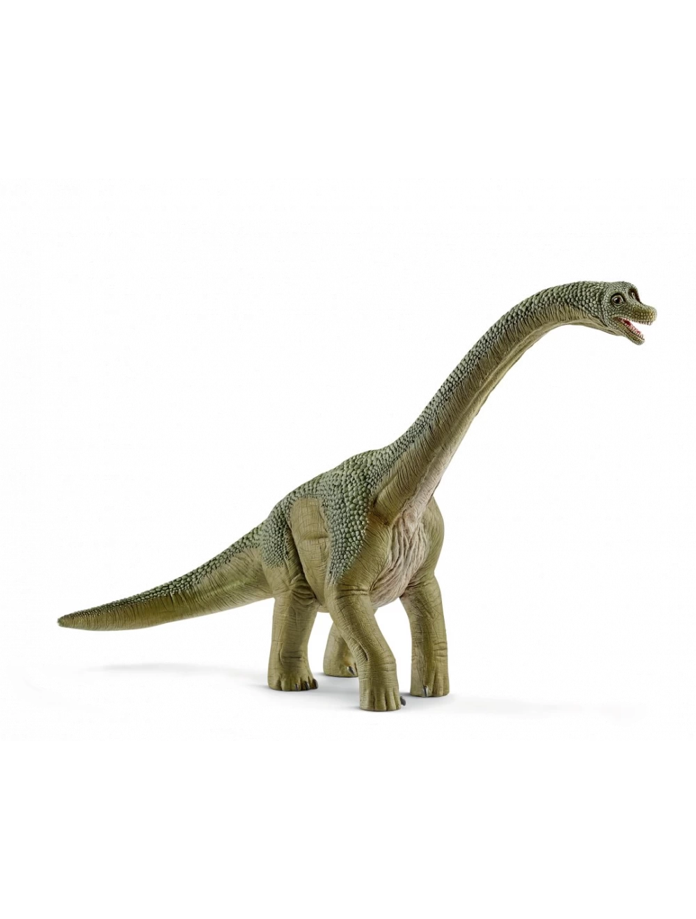 Schleich 14581 Dinosaurier Brachiosaurus 1 Schleich 14581 Dinosaurier Brachiosaurus