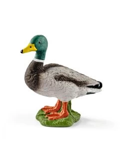 Schleich 13824 Erpel