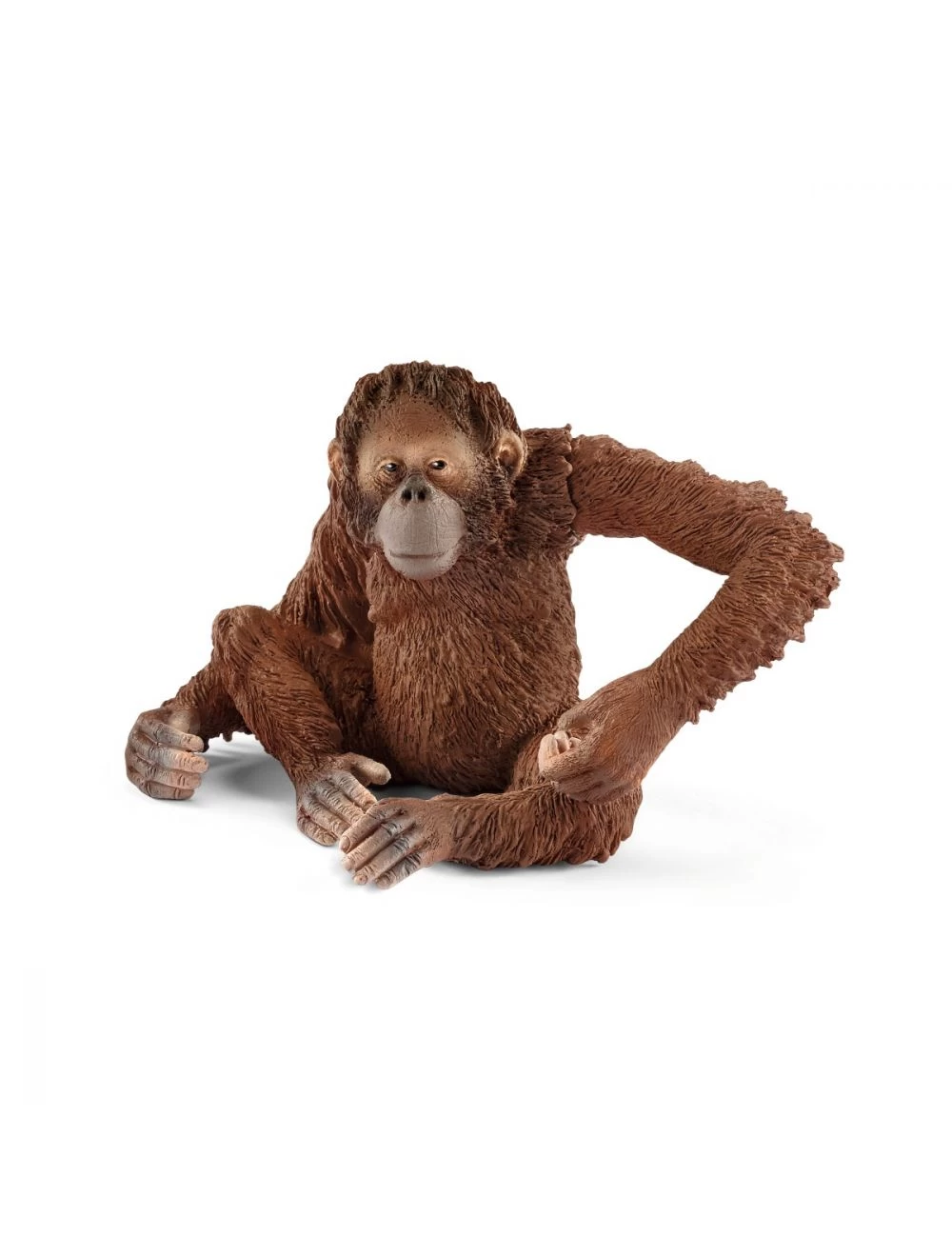 Schleich 14775 Orang-Utan Weibchen 1 Schleich 14775 Orang-Utan Weibchen